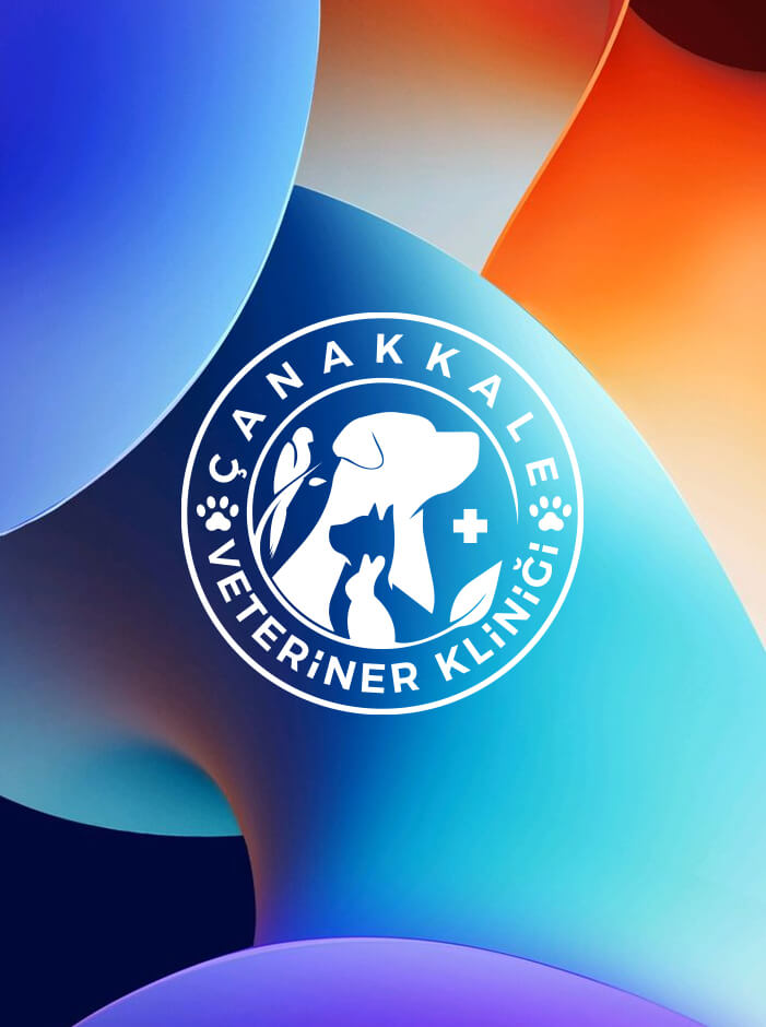 Logo Tasarım Örneği 10